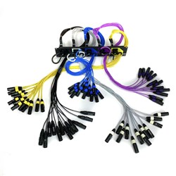Whirlwind PatchMaster60-2 - 60 Channel  5 W1CF to XLRM Tails 3 Feet 2 RU Snakeskin